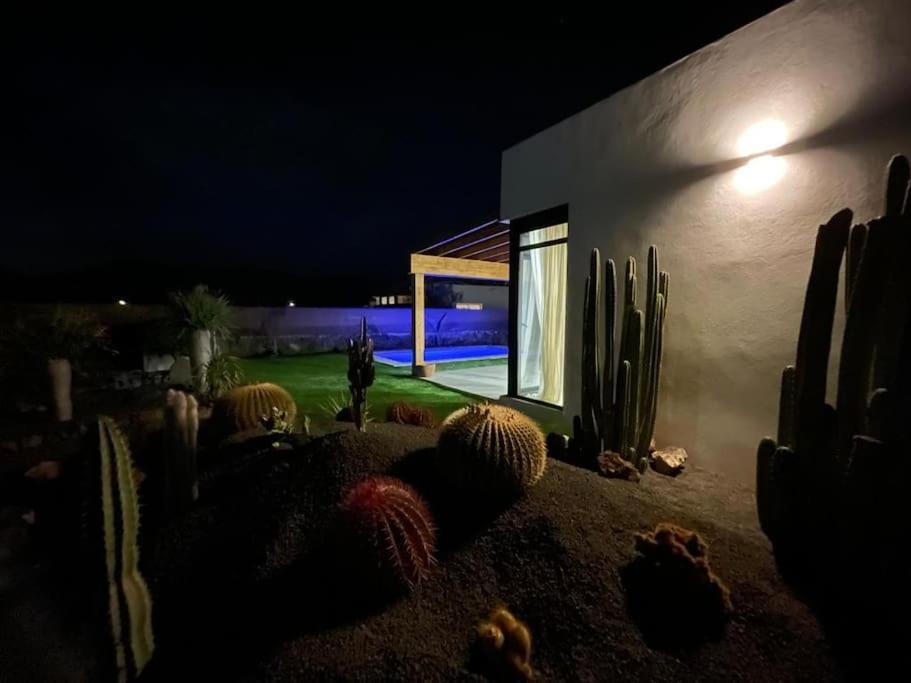 Bungalow + Piscina Independiente La Oliva Esterno foto